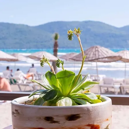 酒店 Mosso Boutique *