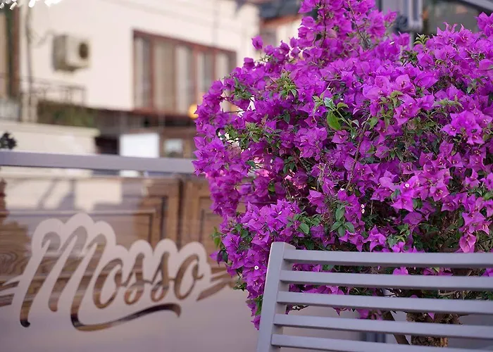 Mosso Boutique